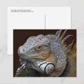 Little Dragon Postcard Postkarte (Vorne/Hinten)