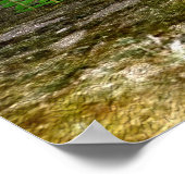 Little Dragon Poster (Ecke)