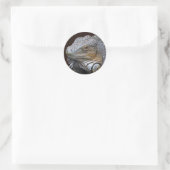 Little Dragon Sticker (Tasche)