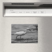 Little Egret Magnet (In Situ (Geschirrspüler))