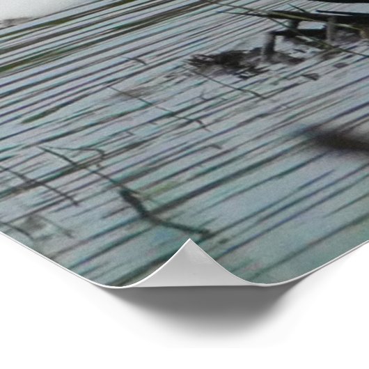 Little Egret Poster (Ecke)