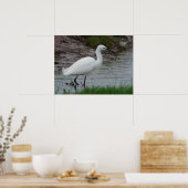 Little Egret Poster (Küche)