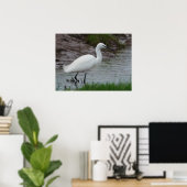 Little Egret Poster (Heimbüro)