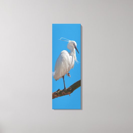 Little Egret Wrapped Canvas Leinwanddruck (Vorderseite)