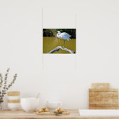 Little Eret auf dem Ast Poster (Küche)