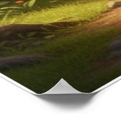 Little Explorer Jungle Adventure Art Poster (Ecke)