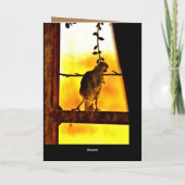 Little Finch Karte (Rückseite)