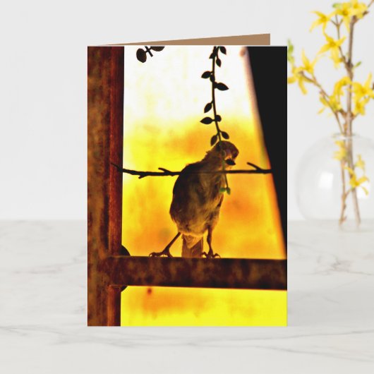 Little Finch Karte (Gelbe Blume)