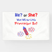 Little Firecracker Gender Reveal Banner (Horizontal)