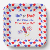 Little Firecracker Gender Reveal Pappteller (Vorderseite)