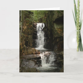 Little Flume Grußkarte Karte