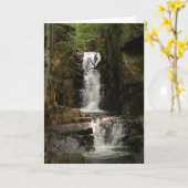 Little Flume Grußkarte Karte (Gelbe Blume)