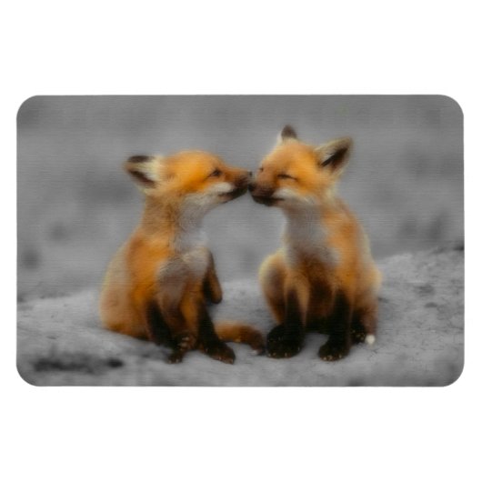 Little Fox Liebe Magnet (Horizontal)