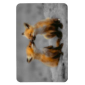 Little Fox Liebe Magnet (Vertikal)