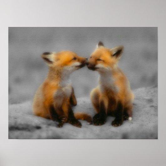 Little Fox Liebe Poster (Vorne)