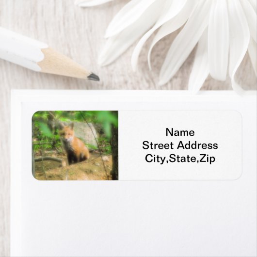 Little-Fuchs-Rücksendekennzeichen (Insitu)