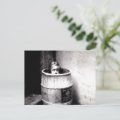 Little Girl in Barrel Postcard Postkarte (Stehend Vorderseite)