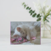 Little Girl Kitty Postcard #2 Postkarte (Stehend Vorderseite)