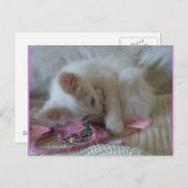 Little Girl Kitty Postcard #2 Postkarte (Vorne/Hinten)