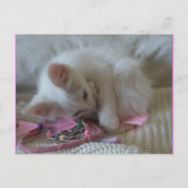 Little Girl Kitty Postcard #2 Postkarte