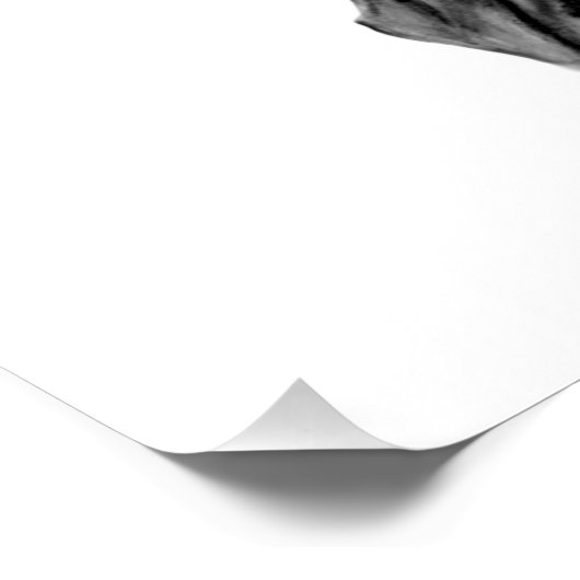 Little Golem Gargoyle Poster (Ecke)