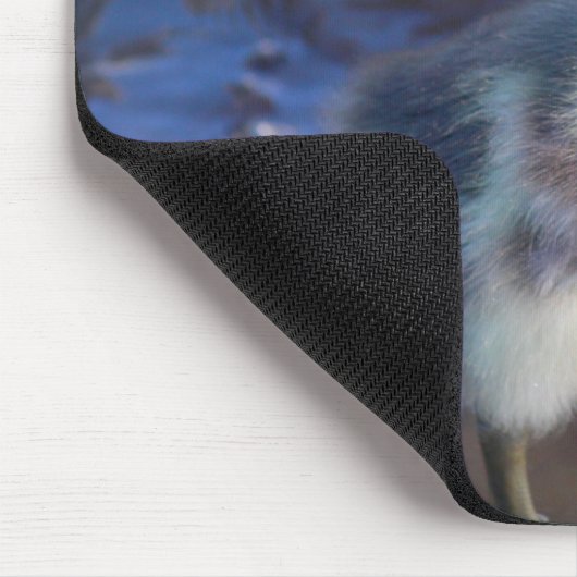 Little Gosling Mousepad (Ecke)