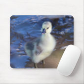 Little Gosling Mousepad (Mit Mouse)