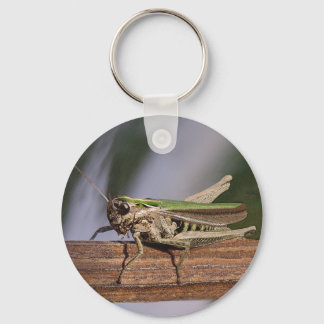 Little Green Grasshopper Keyring Schlüsselanhänger