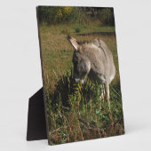 Little Grey Donkey w/Wildblumen Fotoplatte (Seite)