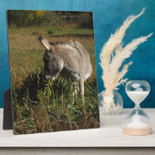 Little Grey Donkey w/Wildblumen Fotoplatte (Seite)