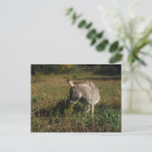 Little Grey Donkey w/Wildblumen Postkarte (Stehend Vorderseite)