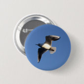 Little Gull Button (Vorne & Hinten)