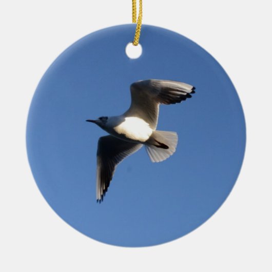 Little Gull Keramikornament (Vorne)