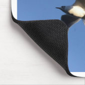 Little Gull Mousepad (Ecke)