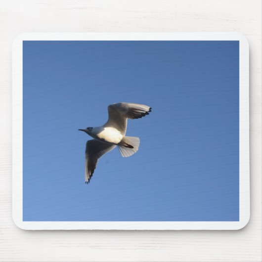 Little Gull Mousepad (Vorne)