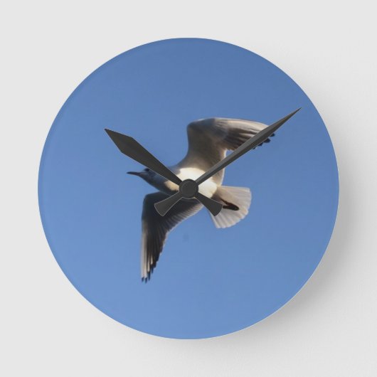 Little Gull Runde Wanduhr (Vorderseite)