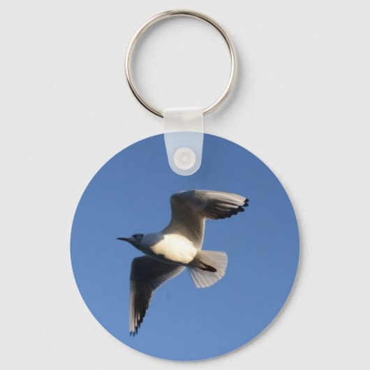 Little Gull Schlüsselanhänger (Vorderseite)