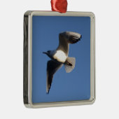 Little Gull Silbernes Ornament (Rechts)