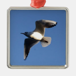 Little Gull Silbernes Ornament