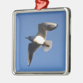 Little Gull Silbernes Ornament (Links)