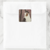 Little Harpist Guinea Pig Sticker (Tasche)