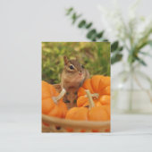 Little Harvest Chipmunk Postkarte (Stehend Vorderseite)