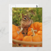 Little Harvest Chipmunk Postkarte (Vorne/Hinten)