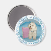 Little Havanese auf Türkis Sofa Magnet (Vorderseite/Rückseite)
