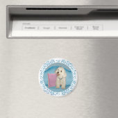 Little Havanese auf Türkis Sofa Magnet (In Situ (Geschirrspüler))