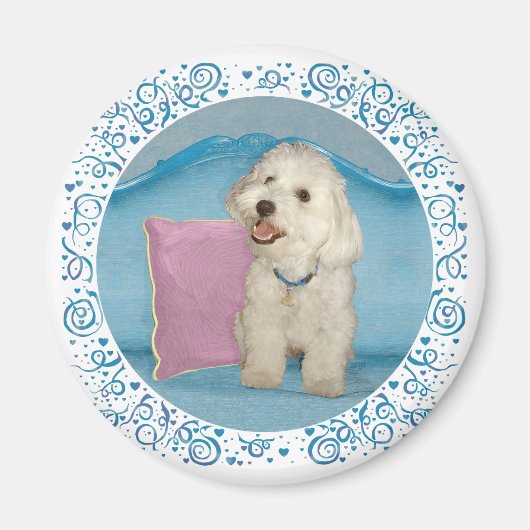 Little Havanese auf Türkis Sofa Magnet (Vorne)