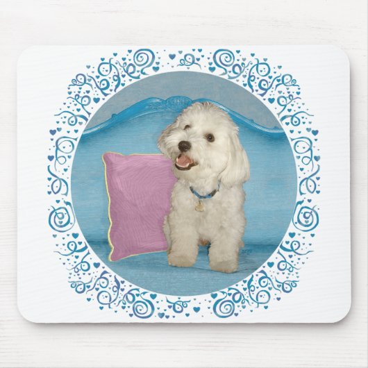 Little Havanese auf Türkis Sofa Mousepad (Vorne)