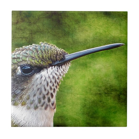 Little Hummer Fliese (Vorderseite)