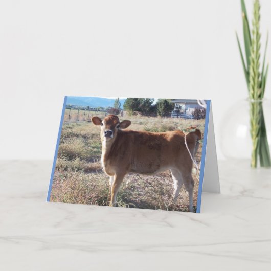 Little Jersey Kuw Greeting Card Karte (Vorderseite)
