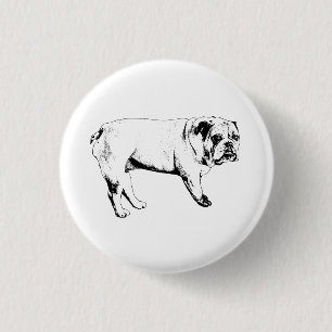 Little Joy Bulldog Button